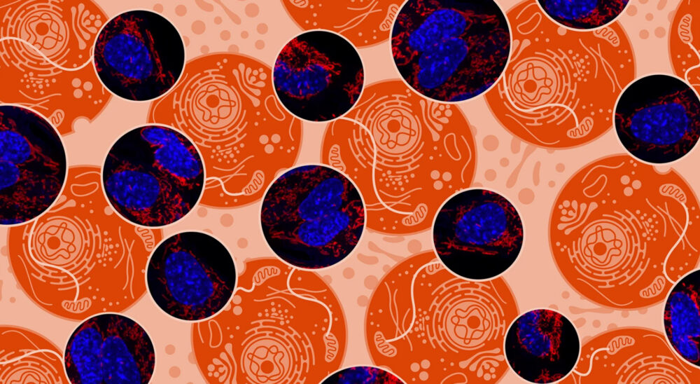 Article banner image